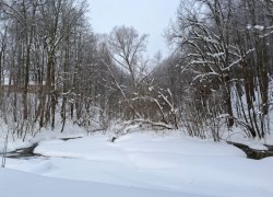 В ХМАО ожидается похолодание до -11 градусов