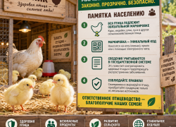 Обязательный учет и маркирование животных в личных подсобных хозяйствах с 1 сентября 2026 года