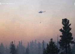 Власти ЯНАО запросили у Авиалесоохраны помощь в тушении пожаров
