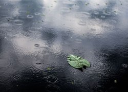 В ХМАО наказали водителя, заставившего девушку обходить его авто по луже