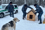 В холодные зимние дни сердца согреваются добрыми поступками