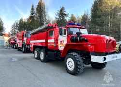 Прокуратура контролирует ситуацию с лесными пожарами на территории Советского района