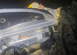 В ХМАО инспекторы Природнадзора вызволили лебедя из рыболовной сети