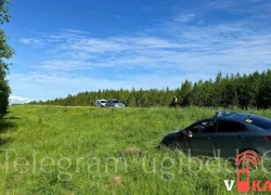 Причинен вред здоровью пассажира в результате ДТП с участием животного (лося)