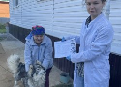 Пятница, 25 сентября, была очень насыщенной для ветеринарных специалистов Пионерского ветеринарного участка