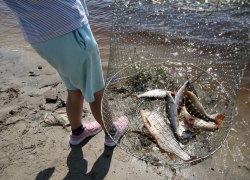 В Югре изъято более полутора тонн незаконно добытой рыбы
