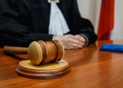 Советским районным судом взыскан ущерб за незаконную охоту на двух лосей