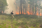 В ХМАО зафиксировано 6 лесных пожаров