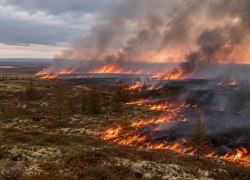 Югра помогает Ямалу сдерживать крупнейшие за десятилетие лесные пожары