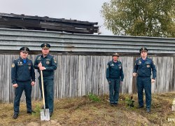 Сотрудники ОНДиПР (по городам Югорск, Советский и Советскому району) приняли участие в ежегодной  Всероссийской акции «Сохраним лес»