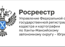 Росреестр Югры информирует о количестве заявлений, поступивших в электронном виде в июле 2024 года