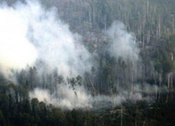 В Югре ожидается рост числа пожаров В Югре ожидается рост числа пожаров