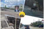 СЕТЕВОЙ ДОЗОР. На дорогах &mdash; жуть: здоровенные лоси, водяные &laquo;бомбы&raquo; и неосторожная автоледи