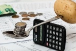 Россияне адаптируются к модели выживания в связи с кризисом