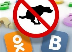 МЫСЛИ ПО ПОВОДУ. Отдельные урны для нужд владельцев собак