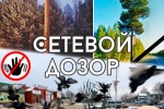 СЕТЕВОЙ ДОЗОР. Вместо сосны &mdash; &laquo;пилон&raquo;, вместо красоты &mdash; экскременты. А также немного странных звуков. Подводим итоги недели и пытаемся не волноваться
