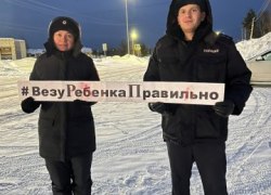 Сегодня сотрудники Госавтоинспекции по Советскому району провели массовую проверку водителей на предмет правильной перевозки детей