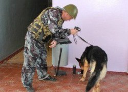 ПОДОЗРИТЕЛЬНЫЙ ПРЕДМЕТ