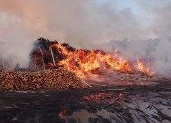 Жители Советского района ХМАО сообщили о нелегальном сжигании отходов деревообработки