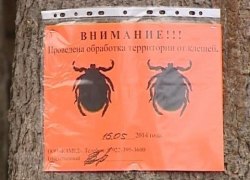 Запаслись вакцинами и приступают к акарицидной обработке. В Югре готовятся к периоду активности клещей