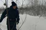 В Югре пересчитают птиц и животных