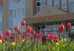 Город станет краше Город станет краше