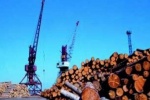 Результаты инвестиций в лесную отрасль: Предприятия Югры вышли на новую мощность