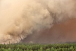 В Югре прогнозируют риск лесных пожаров предстоящим летом в центре и на востоке региона