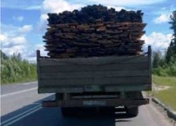 Лесопродукцию вывозили с нарушением Лесопродукцию вывозили с нарушением