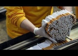В Госдуме предлагают запретить продажу пачек более чем с 20 сигаретами