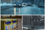 СЕТЕВОЙ ДОЗОР. О чем говорят в двух городах: просрочке с душком, &laquo;засаде&raquo; на дорогах и собачьих гульках