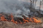 В округе зарегистрированы первые в этом году возгорания сухой травы