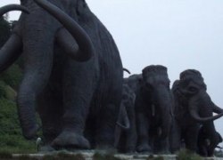 Почему вымерли мамонты. Или как решения Комаровой могут привести к управленческому коллапсу и политическому кризису в Югре