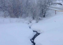 Пока люди задыхаются, власти бездействуют