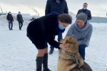 Власти ХМАО не стали изыскивать допфинансирование на гранты владельцам приютов для животных