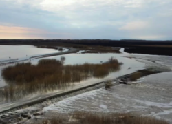 В Ишиме уровень воды в реке в четвертый раз побил исторический рекорд