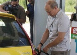 ФАС ответила Путину, возмутившемуся ростом цен на бензин