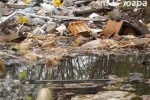 В Советском районе высадился экодесант