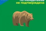 Среди жителей в городских чатах распространяется информация о том, что в парке по ул.Менделеева сегодня заметили медведя.