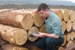 Предпринимателя из ХМАО осудили за уклонение от уплаты таможенных платежей