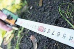 Новые формы кадастровых паспортов вводятся с 2015 года