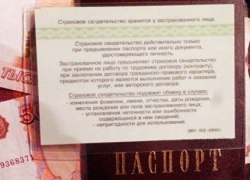 Пенсионный фонд заменит все карточки СНИЛС из-за строки о смене пола