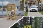 СЕТЕВОЙ ДОЗОР. О собачьих площадках, случае на заправке и суровом лете