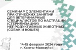 В Югре обсудили значимость стерилизации и кастрации кошек и собак