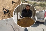 Не падать в обморок и обойти. Правила поведения при встрече со змеями