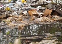 В Советском районе высадился экодесант В Советском районе высадился экодесант