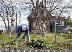 Россиянам рассказали, когда лучше уходить в отпуск