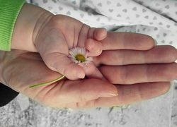 Программа маткапитала не оправдала себя. Рожать стали больше только малоимущие