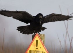 Югре грозят техногенные катастрофы