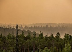 Особый противопожарный режим в Югре введут в конце апреля